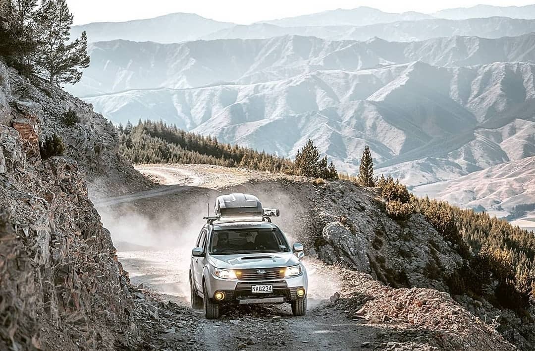 ForesterAddict's tweet photo. Like a predator in the savannah! Cr:@softroad_forester
#softroad_forester #softroad #savannah #beastcars #beastย #subaru #subaruforester #subarulife #offroad #awd #subarulifestyle #forester #foresterlove #foresteraddict #subielife #subielove #subiegang #foresternation https://t.co/CUaRiQdJxi