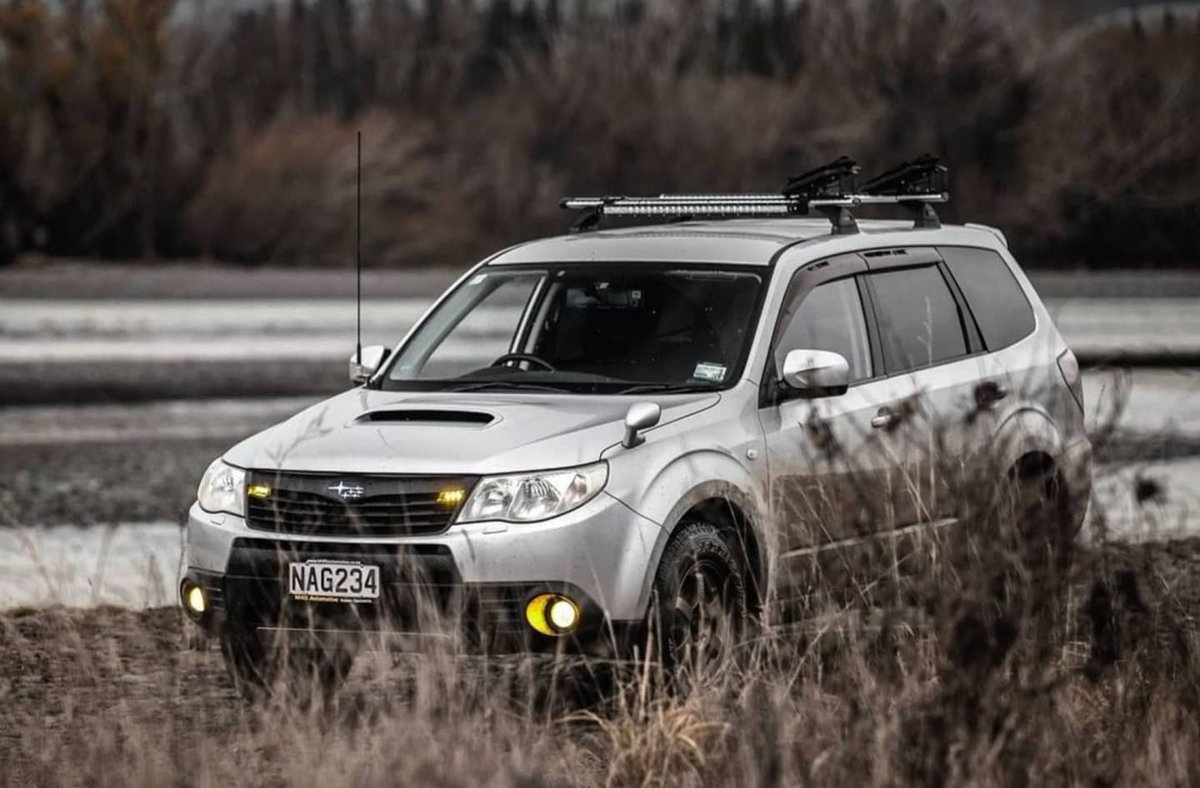 ForesterAddict's tweet photo. Like a predator in the savannah! Cr:@softroad_forester
#softroad_forester #softroad #savannah #beastcars #beastย #subaru #subaruforester #subarulife #offroad #awd #subarulifestyle #forester #foresterlove #foresteraddict #subielife #subielove #subiegang #foresternation https://t.co/CUaRiQdJxi