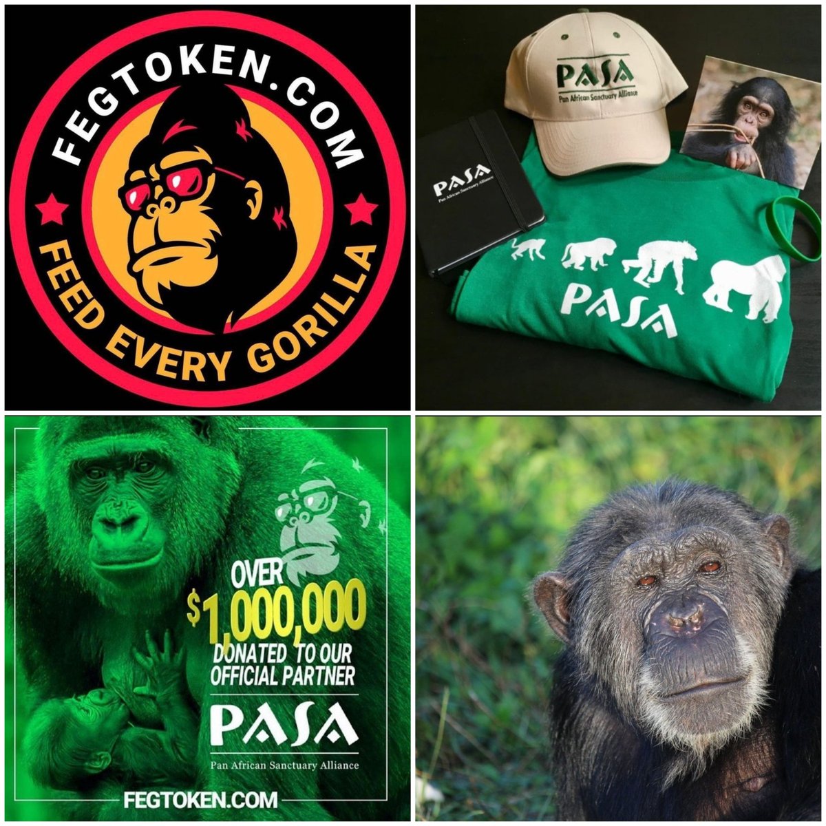 ๐๐ช๐จ๐จ๐๐ก๐ก_๐๐ tweet media