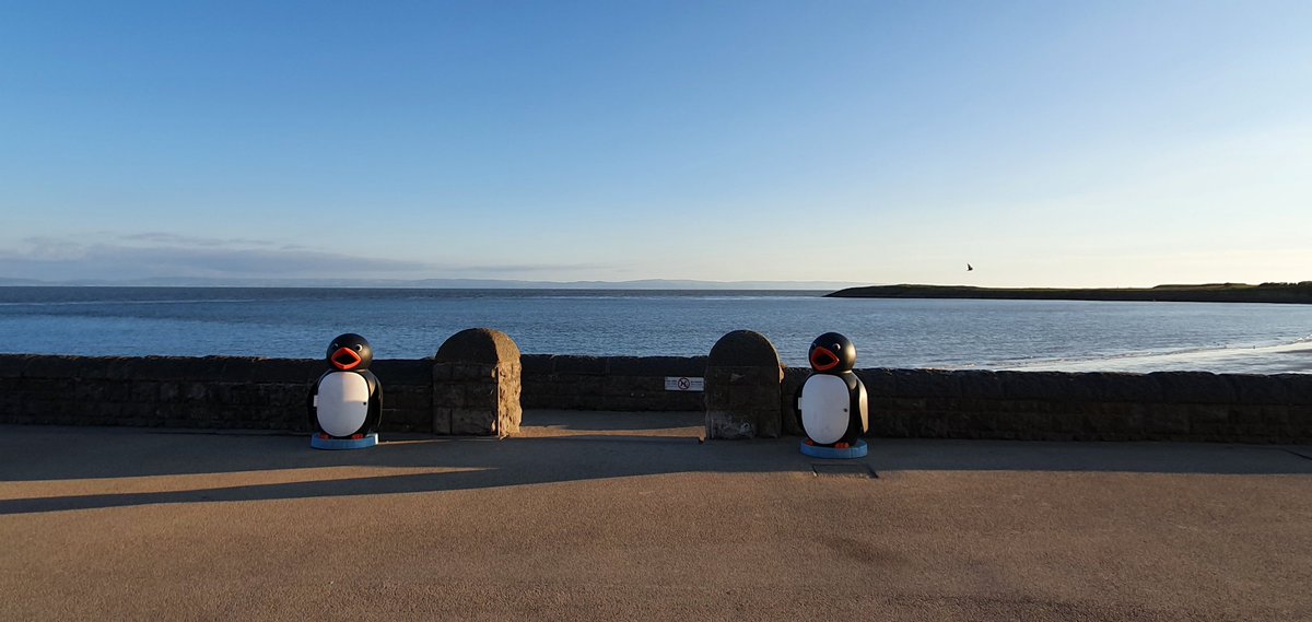 _BARRYISLAND_'s tweet image. Cooling down 😎😎😎😎 Whitmore Bay 🌞🌞🌞🌞🌊🌊🌊🌊⛱⛱⛱🎢🎡🎢🎡🎢  #BarryIsland @DerekTheWeather