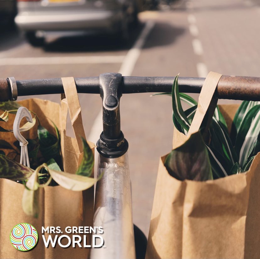 Mrs. Green's World (mrsgreensworld) Twitter