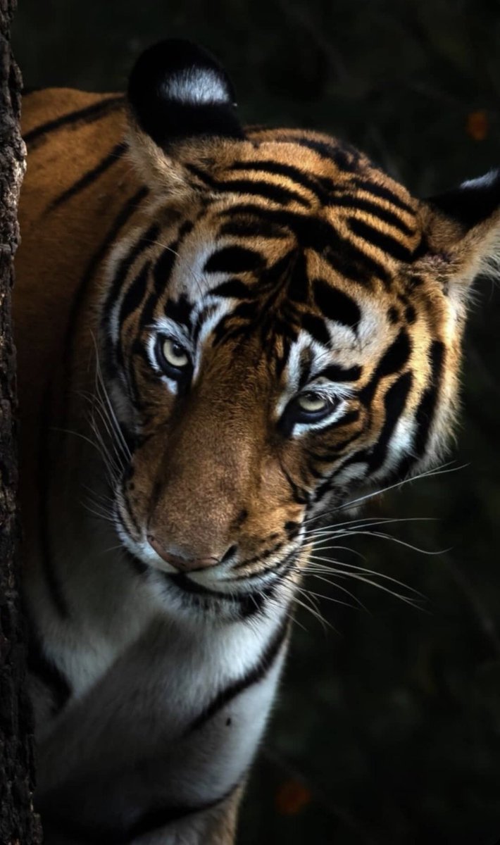 Bende ne gördüğün biraz da sen de ne olduğuna bağlı