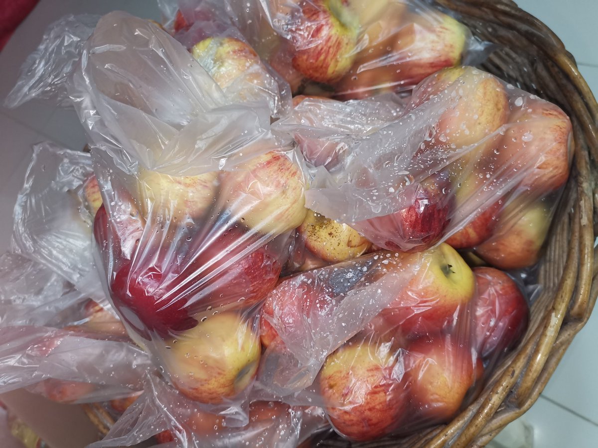 OllaHoy's tweet photo. Hoy al entregar la merienda estaremos dando también unas ricas manzanas. https://t.co/exmocCiEtw