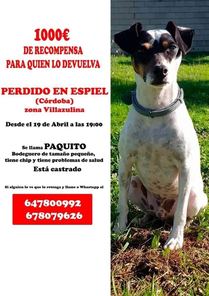 penelope57's tweet image. Otro perdidooooooo....!