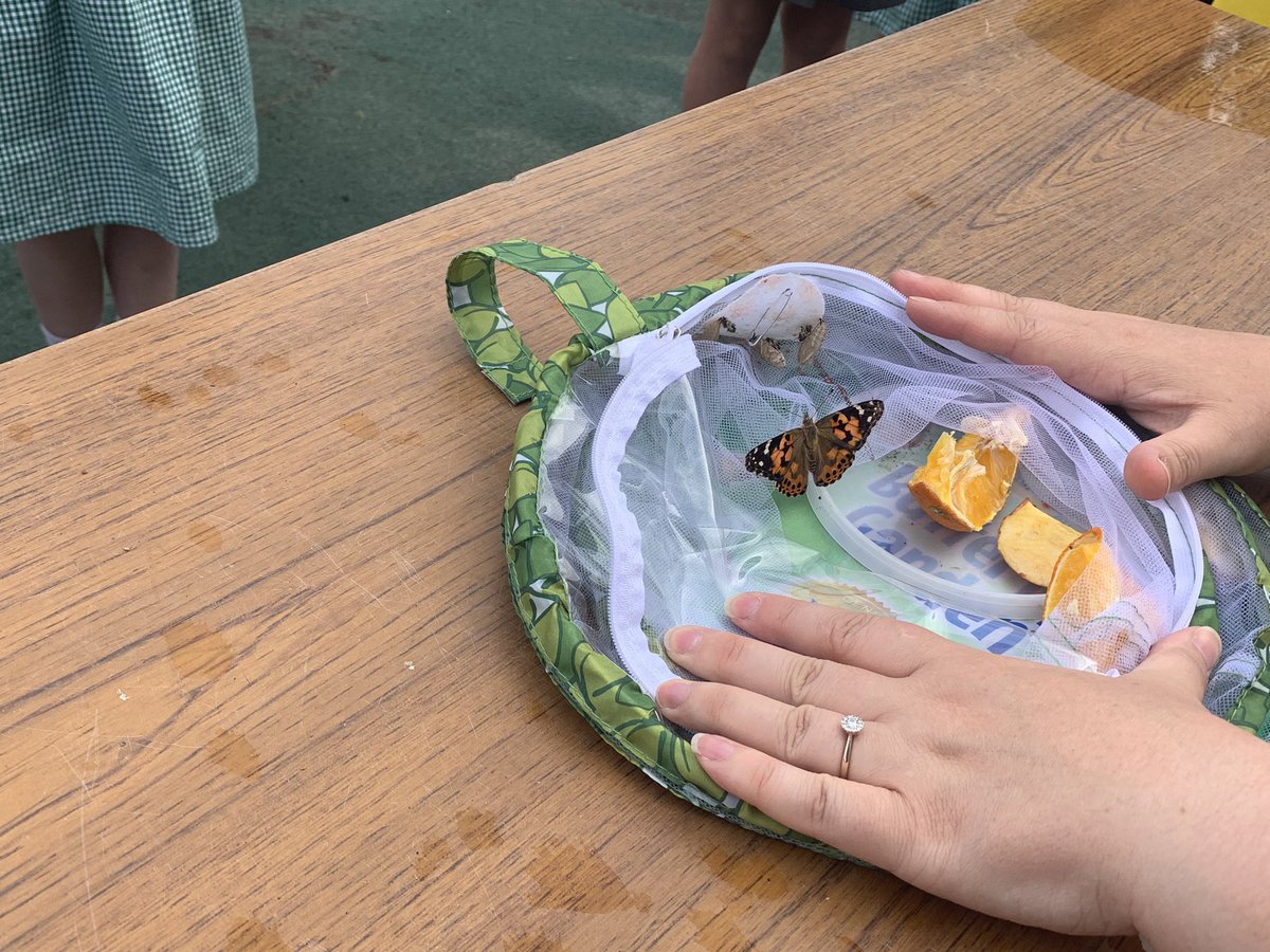 Meadowside Beech tweet media