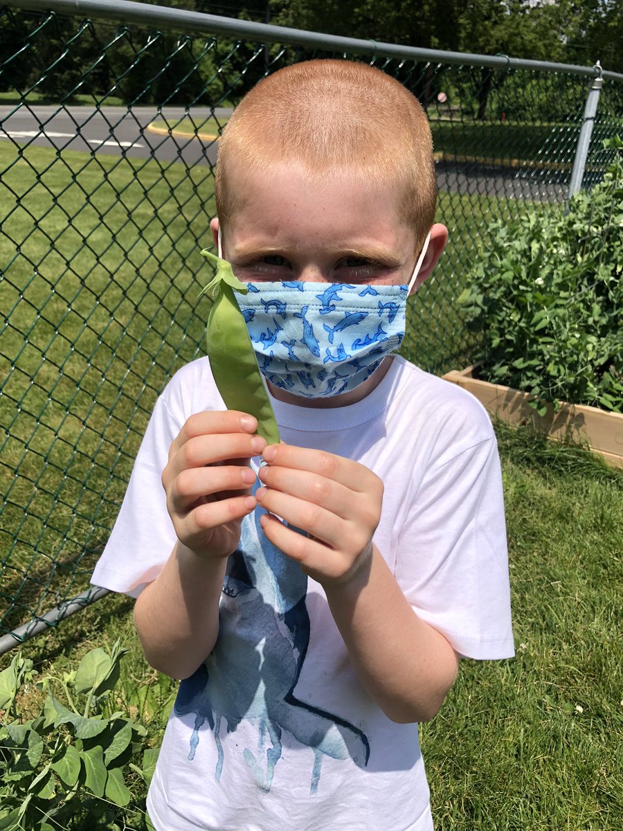 Miss Askwith🍎📚 tweet media