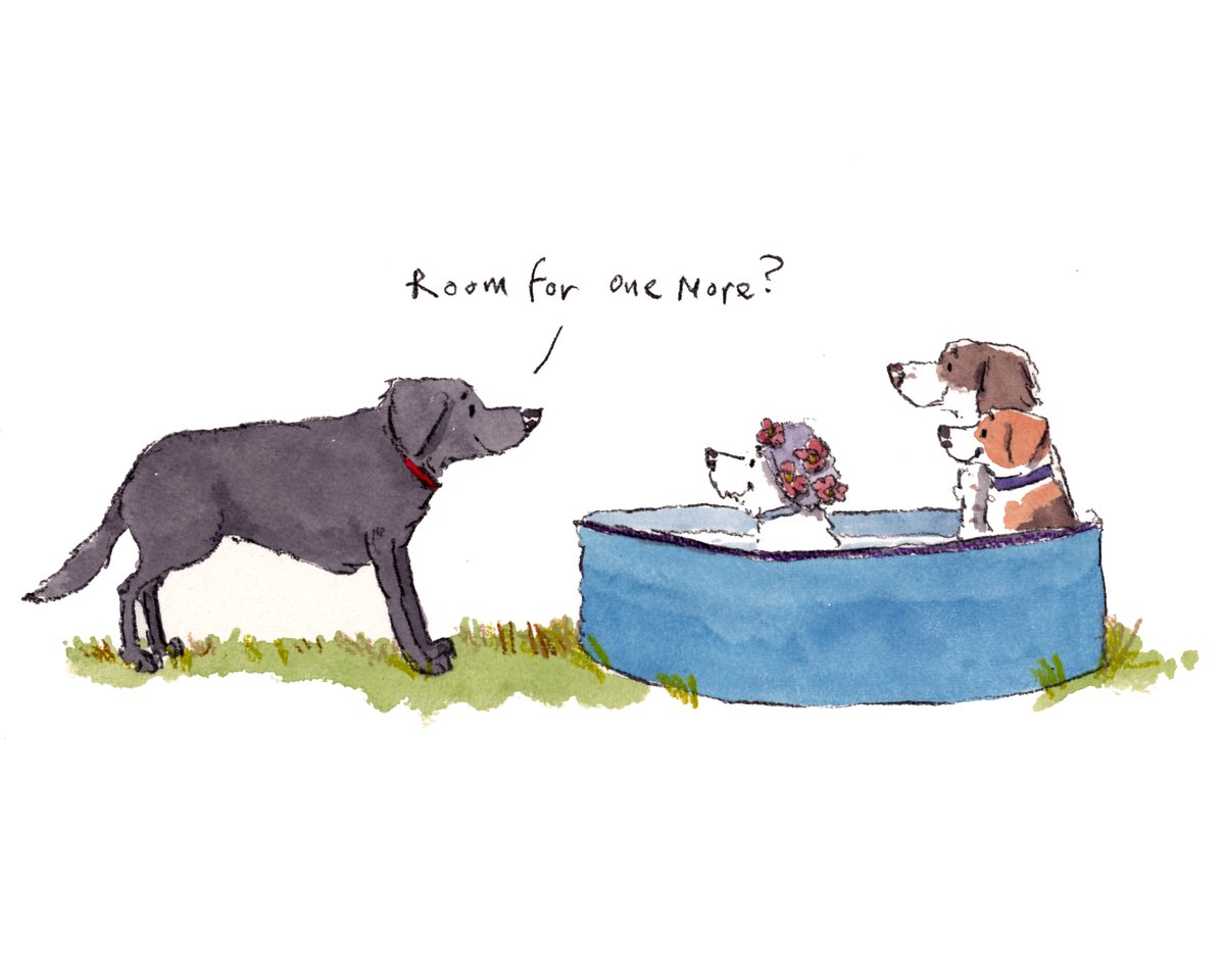 Good night, lovely people and lovely dogs. 
I hope that you've had a delightful day. 

The four are enjoying a little paddle. 

Sleep well, sweet dreams and I hope that you have a fab day tomorrow. 
#hoorayfordogs #labrador #westie #springer #beagle #paddlingpool