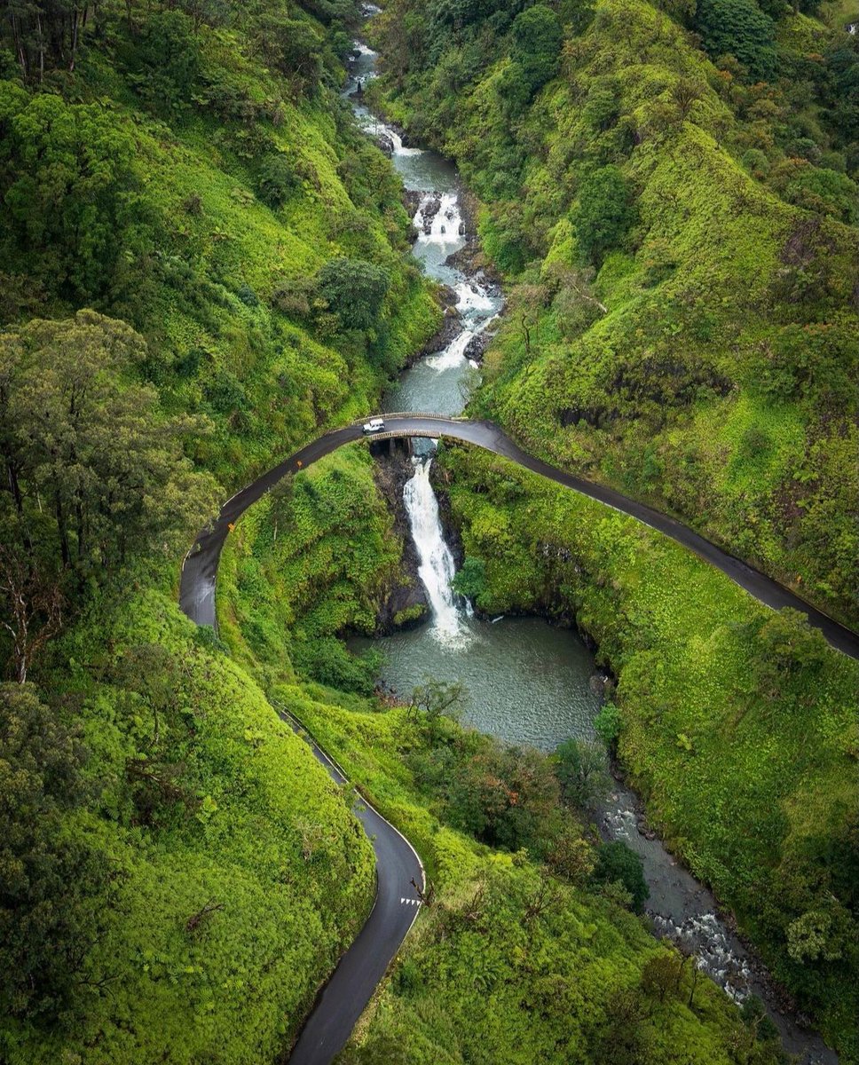 NatureVSCO's tweet photo. Maui, Hawaii 🇺🇸
via: @vincelimphoto https://t.co/CwlB1bESV8