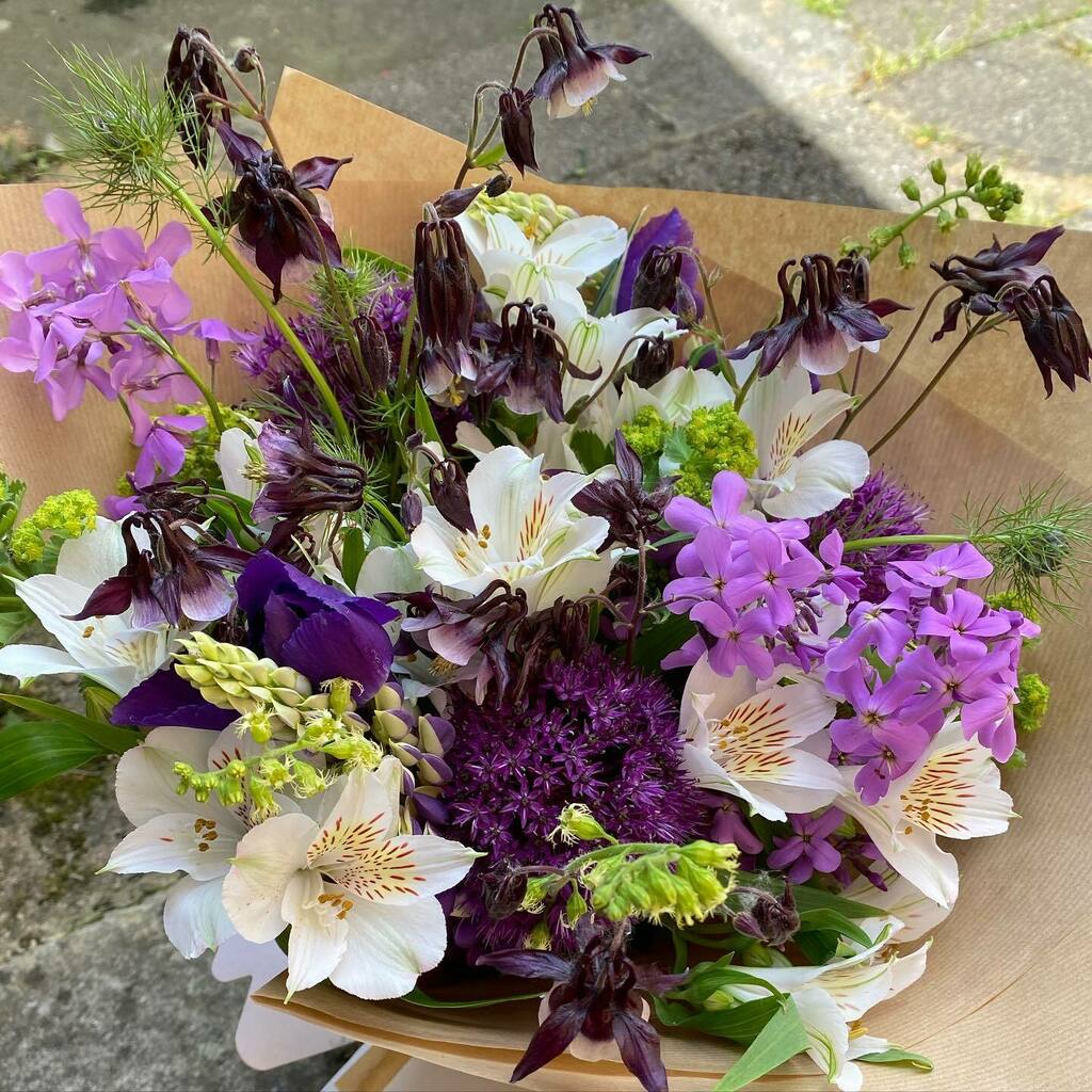 myflowerpatch's tweet image. These were the favourite colours of the person who received them. What good fortune, as the order was for “Pick of the Patch” All of these were grown at the Patch apart from British grown Alstroemerias and Iris from @flowersbyclowance 

Pick of the Patch… instagr.am/p/CP1PCrNl1aD/