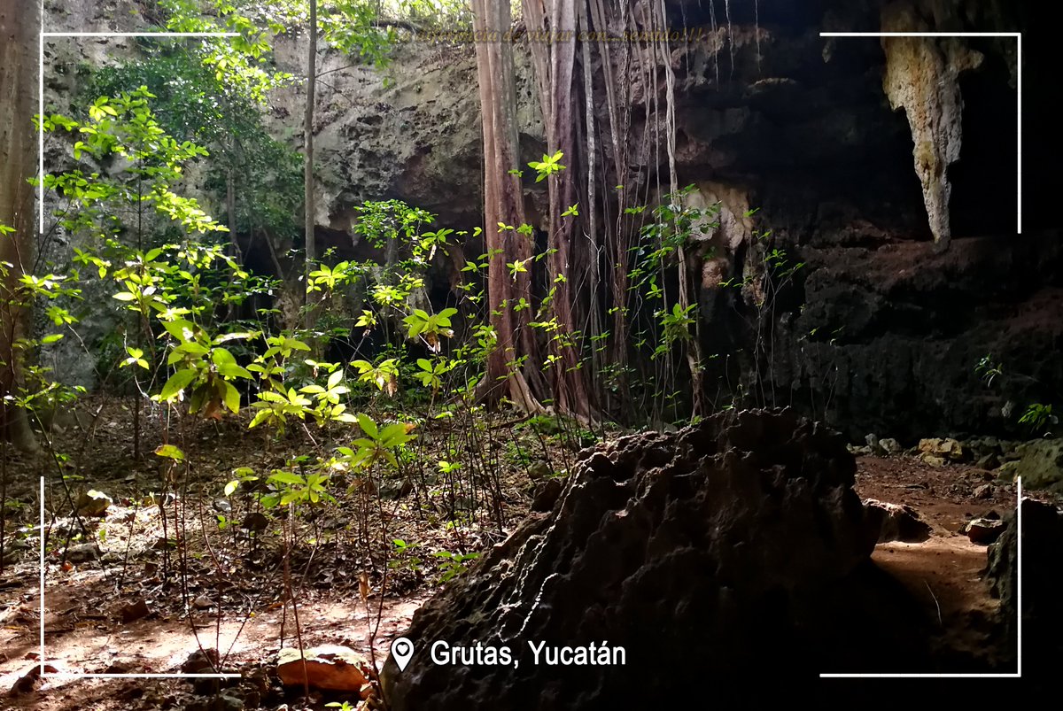 ByCarek's tweet photo. Mundos por debajo del Suelo⛺️, sonidos misteriosos por escuchar🥁, y una aventura aun por comenzar 🤹‍♀️
!Alisten las maletas¡ 🧳 La aventura empieza 🏁 ¿Están Listos?😇

-
- 📍Grutas, Yucatán, México 🇲🇽
-
-
- #Grutas #misterio #vestigios #Cultura #viajes #viajar  #agenciasdeviajes https://t.co/GxL2BwD0fO