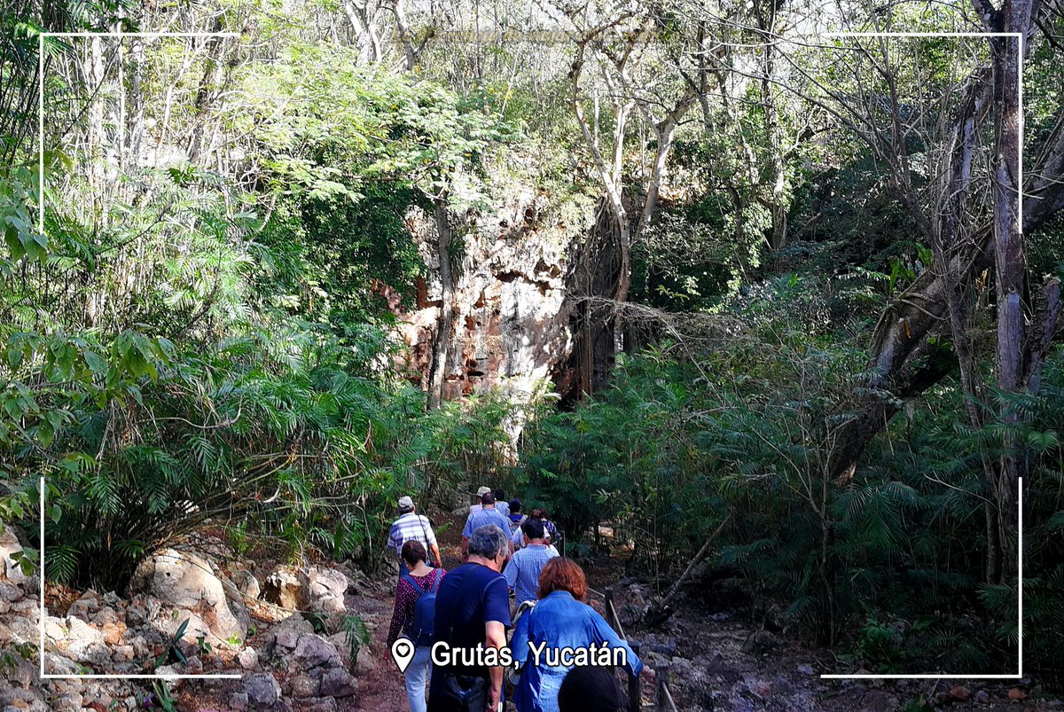 ByCarek's tweet photo. Mundos por debajo del Suelo⛺️, sonidos misteriosos por escuchar🥁, y una aventura aun por comenzar 🤹‍♀️
!Alisten las maletas¡ 🧳 La aventura empieza 🏁 ¿Están Listos?😇

-
- 📍Grutas, Yucatán, México 🇲🇽
-
-
- #Grutas #misterio #vestigios #Cultura #viajes #viajar  #agenciasdeviajes https://t.co/GxL2BwD0fO