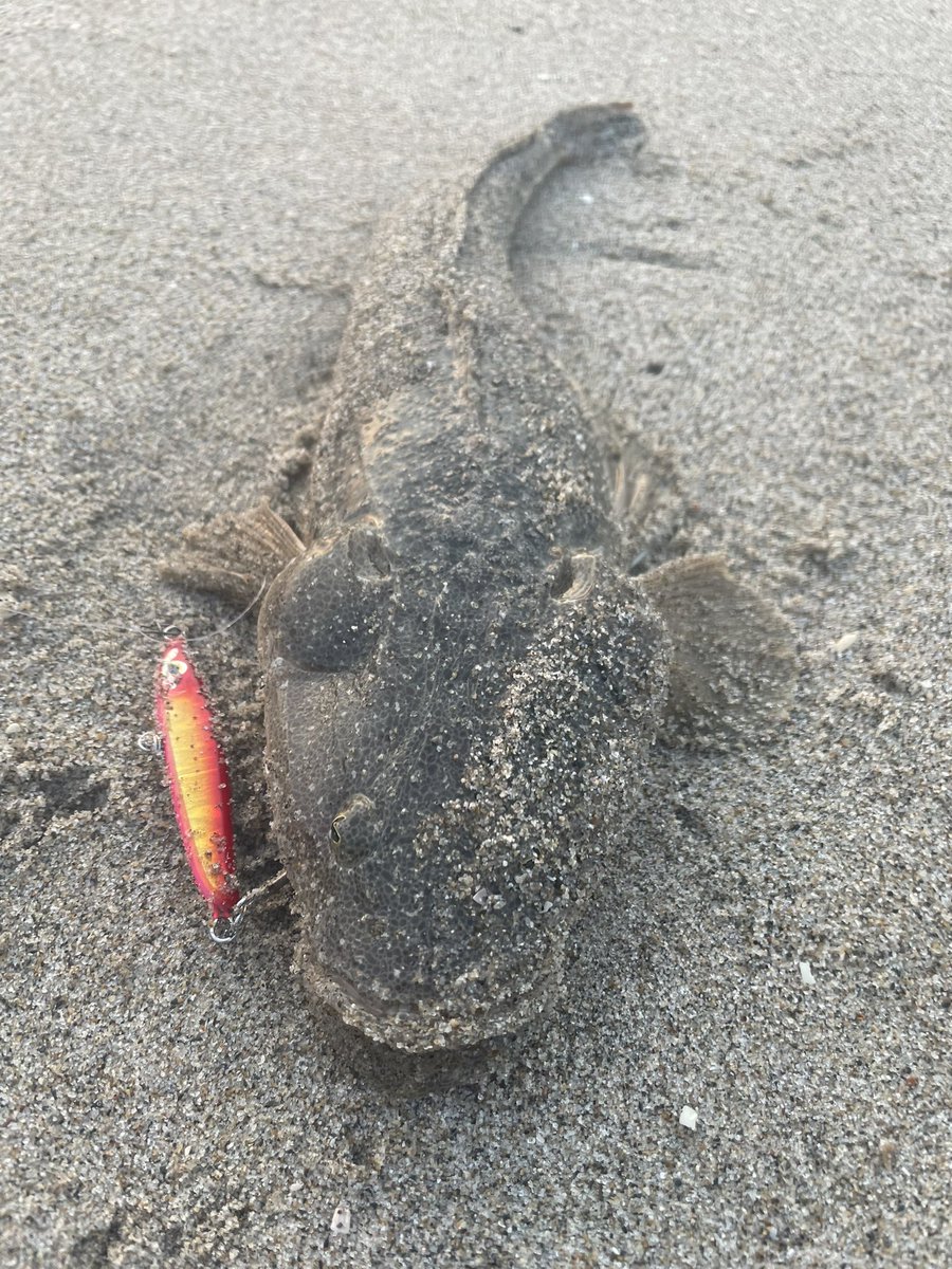 Home Logogala Recent Activity Post Nemo 釣り垢 Jun 7 仕事前の朝練 ルアーズケミスト Pic Twitter Com Obuapmgdxm 1 Year Ago We Are Working For The Dance And Sing Songs This Video Is Very Awesome For The Youngster Please Vote This Video