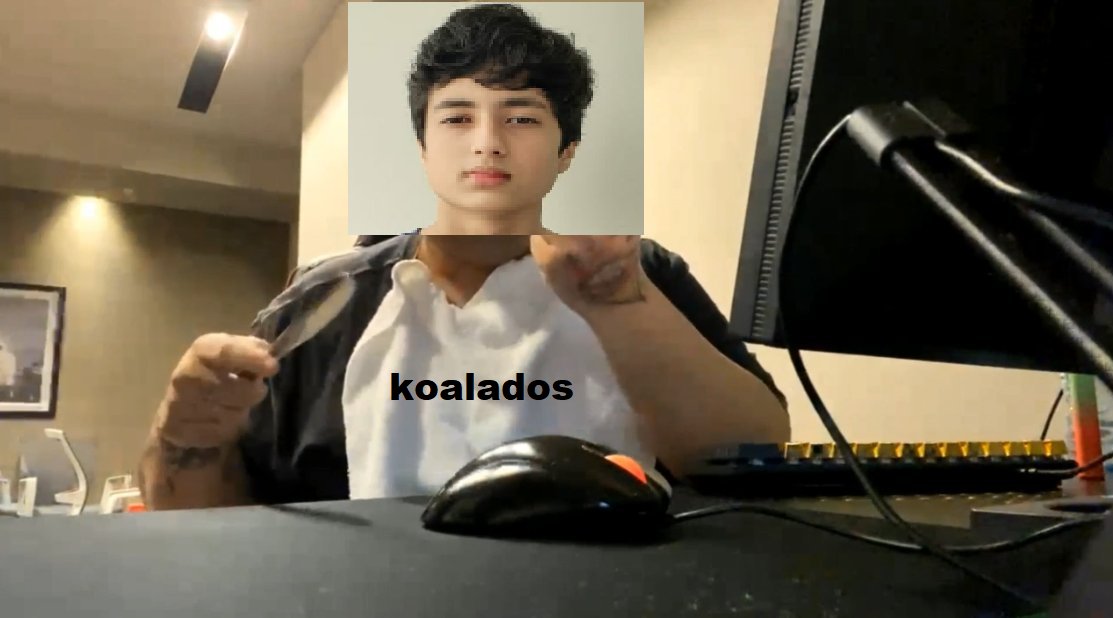 @koalexcs