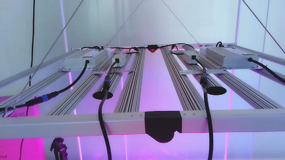 AngelMo39141149's tweet photo. Best economical full spectrum led grow strip light bar cheap price wholesale full spectrum greenhouse lights.
1.1000w 8 bar foldable light
2.Brand led:Samsung lm301h
3.Color:golden or silver
4.Brand driver:Inventronics driver
#Samsung #Osram  #ledlight #growlight #indoorplants https://t.co/YLO2kdYAVX