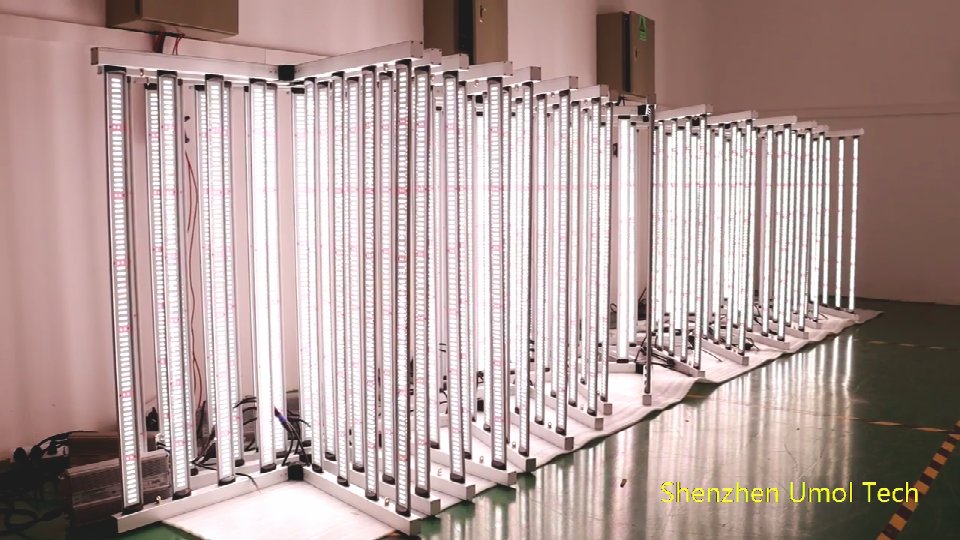 AngelMo39141149's tweet photo. Best economical full spectrum led grow strip light bar cheap price wholesale full spectrum greenhouse lights.
1.1000w 8 bar foldable light
2.Brand led:Samsung lm301h
3.Color:golden or silver
4.Brand driver:Inventronics driver
#Samsung #Osram  #ledlight #growlight #indoorplants https://t.co/YLO2kdYAVX