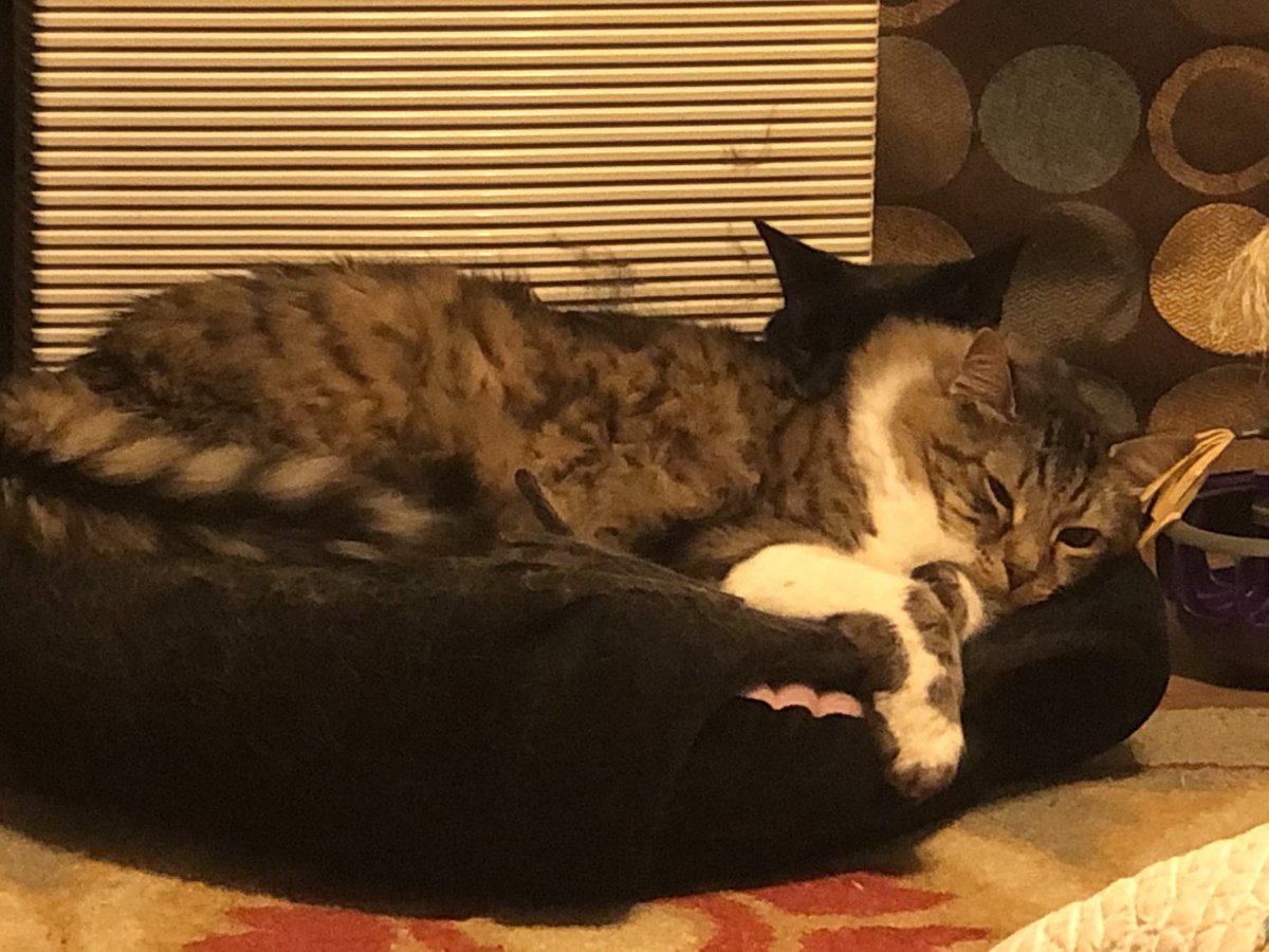 Jerry Jordan tweet media