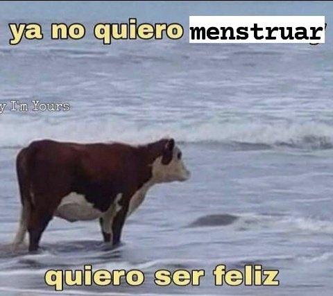 babyzume's tweet image. 