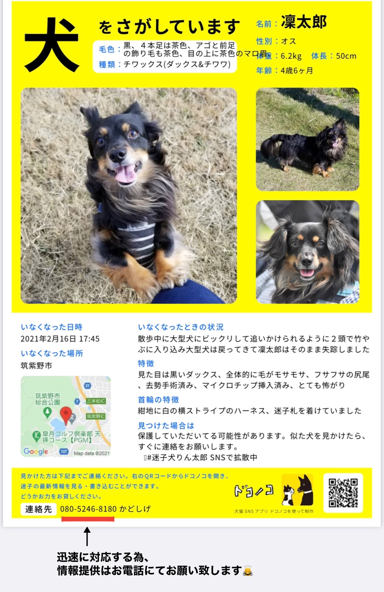 迷子犬凜太郎 りんたろう くんを探しています チワックス 福岡県筑紫野市 迷子犬りん太郎 2 16 福岡県筑紫野市で失踪 チワワとダックスのmix 黒茶 似た犬 の目撃情報 6 5 9 45頃 博多駅南6丁目 似た犬が男性と一緒に歩いていた 保護の可能