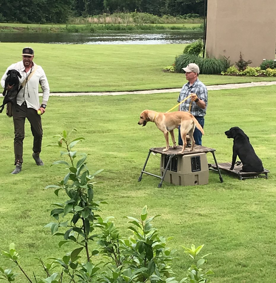 RiceArkansas's tweet image. We&apos;re glad that #SASDA attendees could learn about some of the nation&apos;s best waterfowl habitat on their trip to Five Oaks Hunting Lodge tonight. 
Guests were welcomed by former @DucksUnlimited  Chairman @Gdunklin who discussed the importance of #conservation and the...
(1/3)