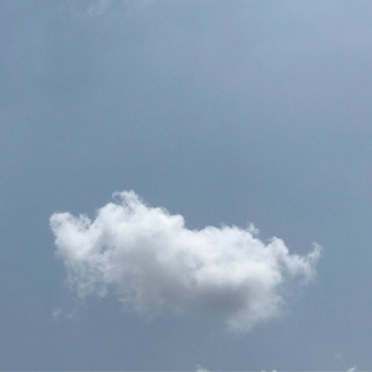 imskycool's tweet image. You will miss me  Like I miss you? #imsky