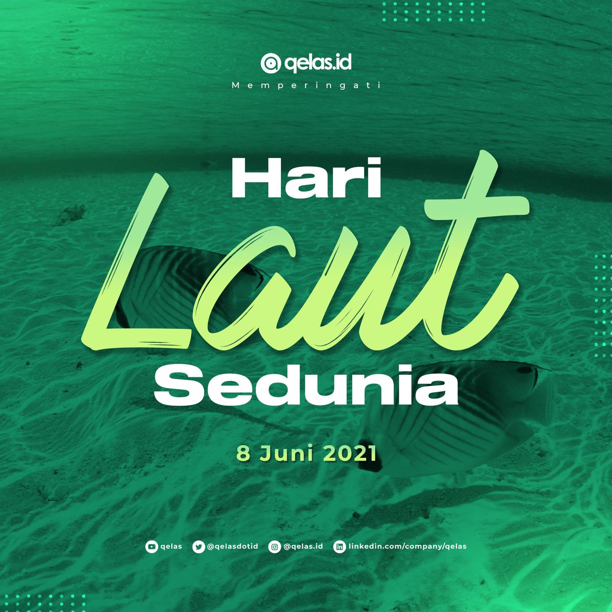 mulaidariguru's tweet photo. Selamat hari laut sedunia! Mari jaga ekosistem laut kita!

#harilautsedunia https://t.co/WgzGRRwrqP