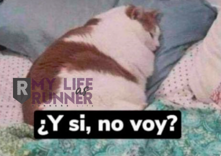 mylifeas_runner's tweet photo. Cuando suena tu alarma de domingo a las 6 am para ir a hacer distancia: https://t.co/0TCw05DV5D