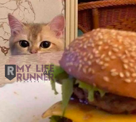 mylifeas_runner's tweet photo. Yo después de llegar de correr: 

-¿Será prudente? https://t.co/JkyEMwhTSQ