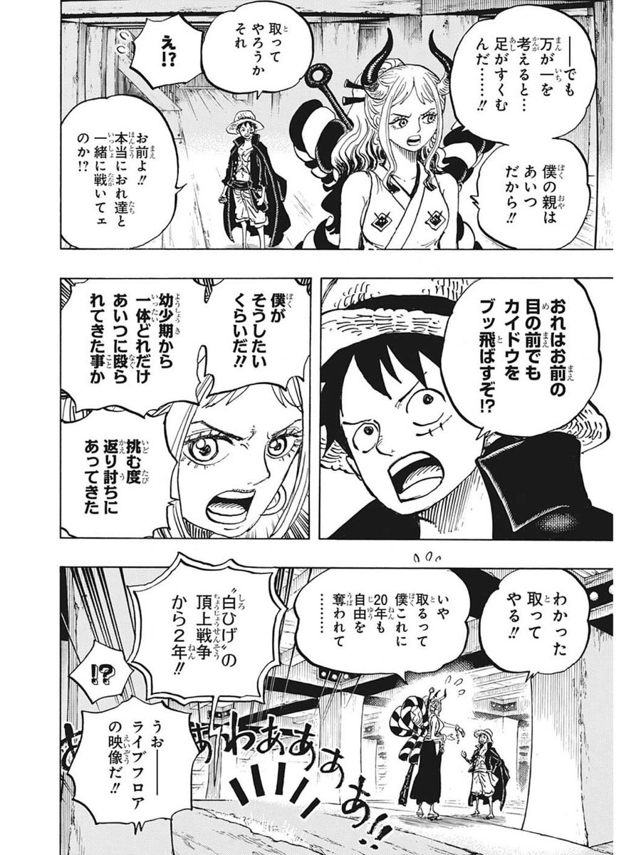 ワンピース ヤマトって何者 カイドウにバカ息子と呼ばれるヤマトについて考察してみた あめのちはれ
