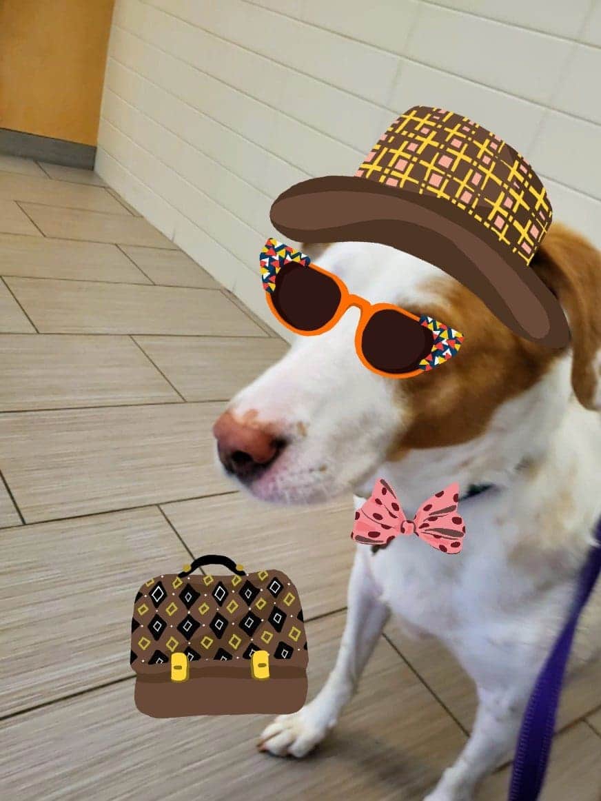 CanadianPenny1's tweet photo. With humidex, it's 38C (100.4F) outside. I'm heading somewhere cooler, who's with me?! ✈️🌡️☀️ https://t.co/ODTRbrErsq