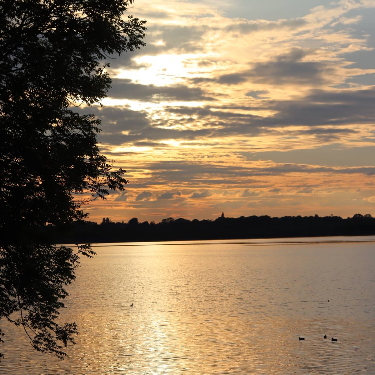 JackOsbFootball's tweet photo. No Filter Needed 📸
@STWDraycote📍
#canon #canonphotography #photography #scenery #draycotewater #sunset #sunsetphotography #canoneos250d #views https://t.co/FQdbWiXxBH