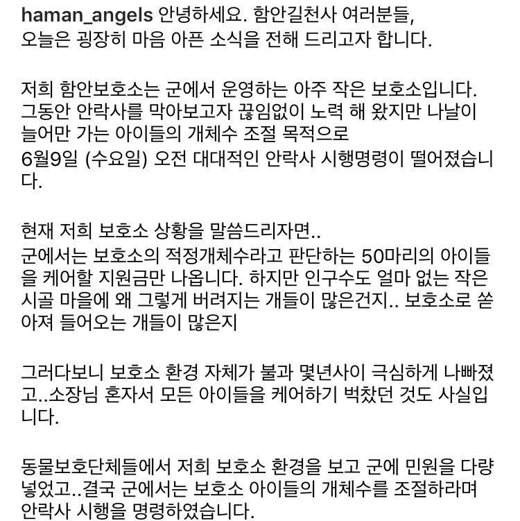 guri_animals's tweet photo. RT요청) 함안보호소 대량안락사예정 구조가 시급합니다. 알티해서 아이들을 살려주세요 
#유기견입양 #안락사위기 #유기견 #포인핸드 https://t.co/kEZzQ4FpgN