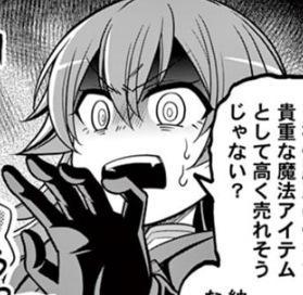登場人物紹介
主人公メイ・サー
勇者にあるまじき言動をしちゃうことに定評のある銭ゲバ勇者。
メ○カリにホットケーキミックスを出品するタイプ。 