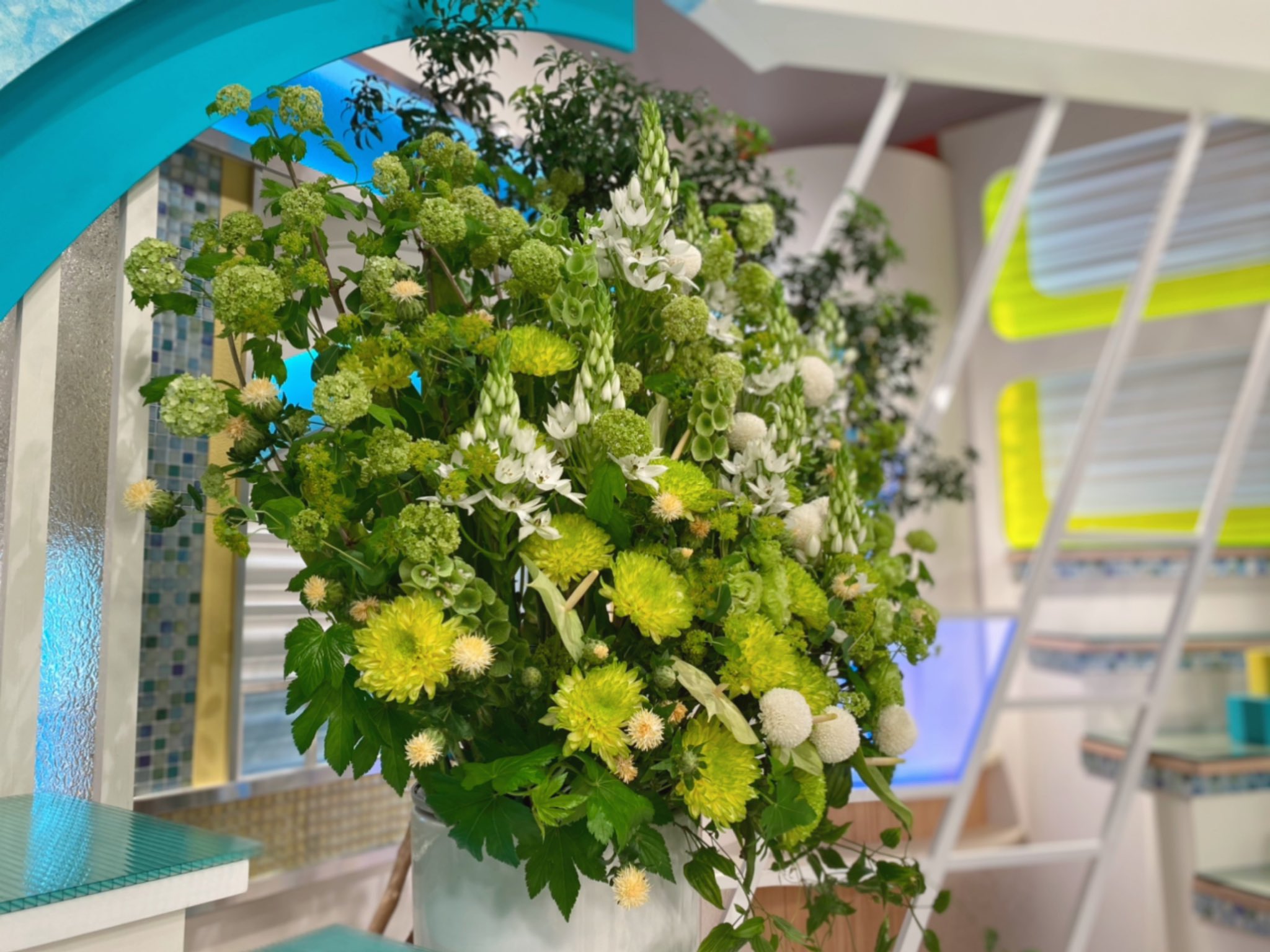福岡花屋 Twitter Search Twitter