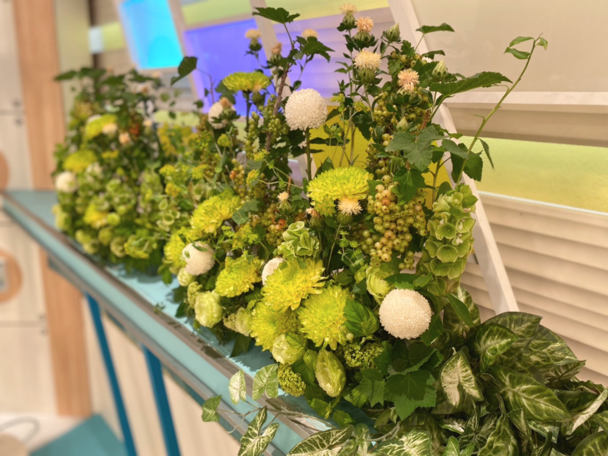 福岡花屋 Twitter Search Twitter