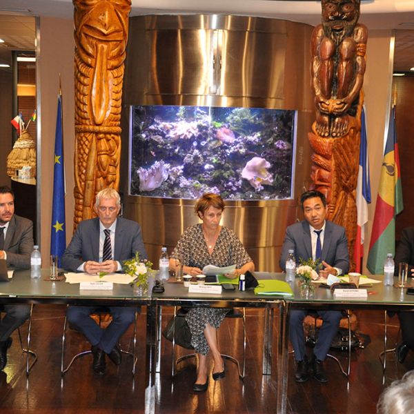 “Pas de pays sans projet ! La société civile #NouvelleCaledonie doit être nécessairement associée au projet de l’après-référendum.” buff.ly/34UXYsK