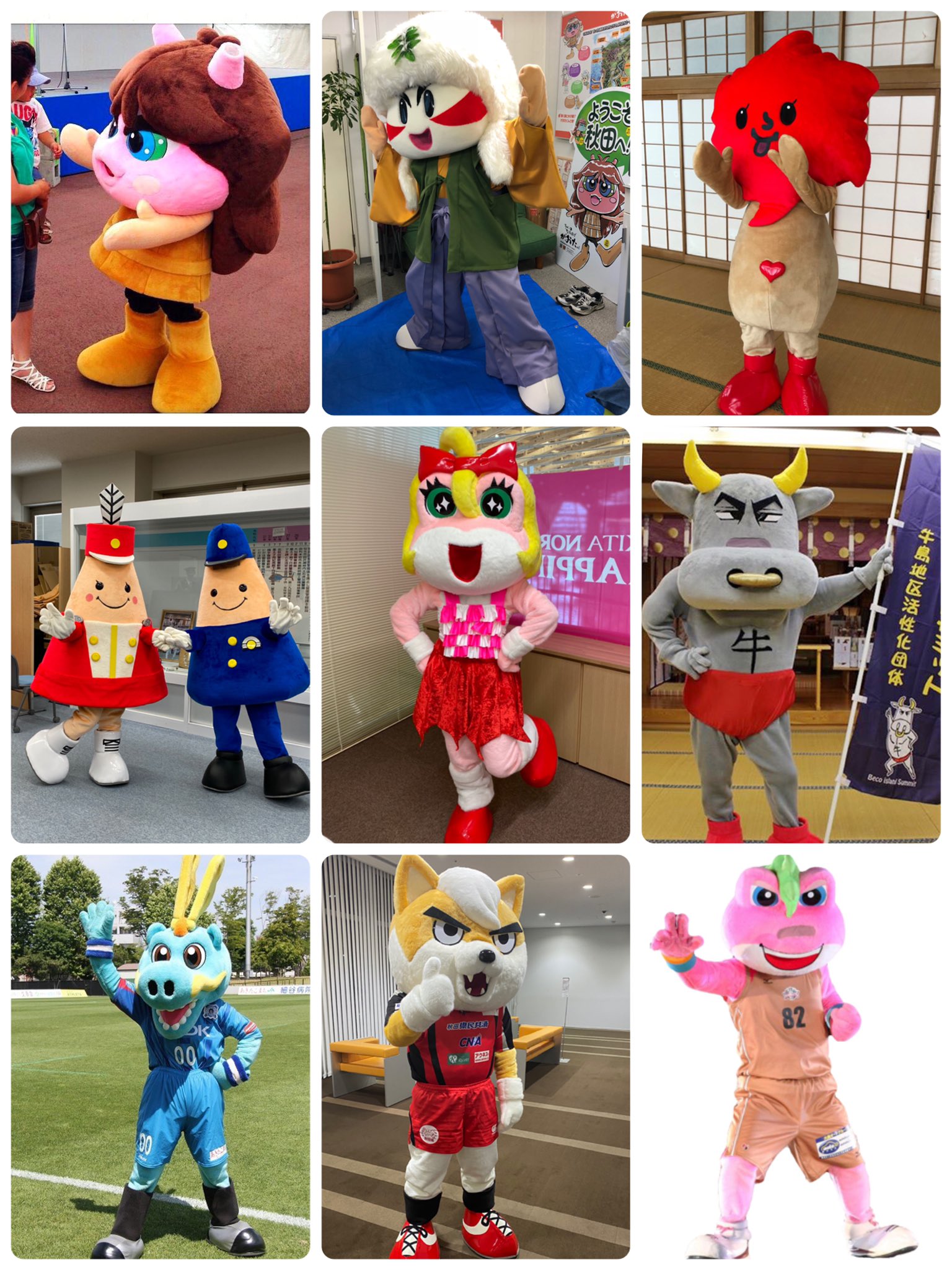 たぶん東北で唯一の着ぐるみ屋です Twitter Search Twitter