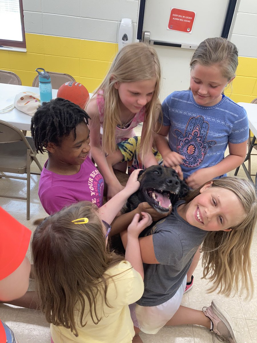 Kid_Kamp's tweet photo. @GreenfieldIN_PD made a visit with their K-9 Matrix! 🐾 https://t.co/VpErKsRcod