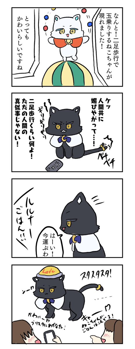🐈‍⬛…… 