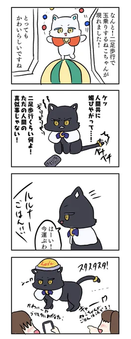 🐈‍⬛…… 