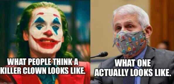 Miss Satoshi (@misssatoshi) on Twitter photo 