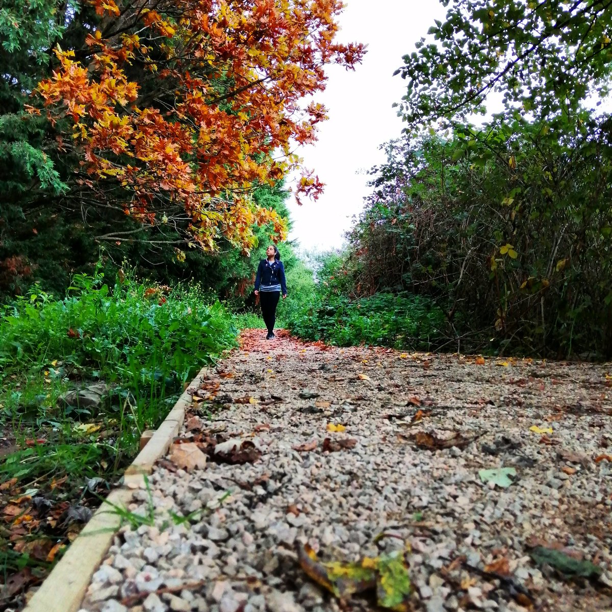 Rmanpreet_Kaur's tweet photo. 'Sometimes life takes you on unexpected paths, and those paths aren't always in the same direction.'

#life #direction #unexpected #journey #RoadToSuccess https://t.co/ahbEJlwq0q