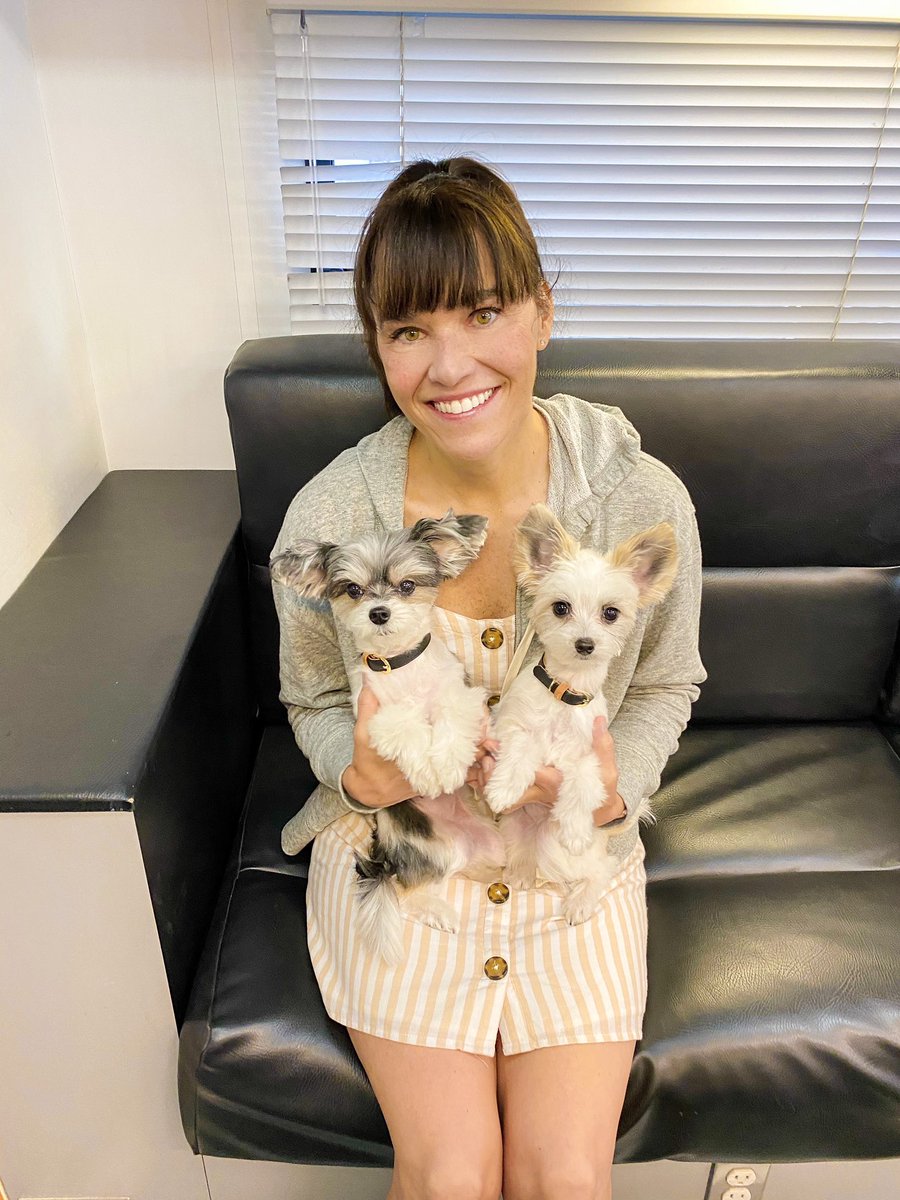 samcarrell's tweet photo. Fun day on set today in Brooklyn with these 2 little superstars!
Stay tuned
@TINKERBELLEadog #tinkerbellethedog #setlife #workingpups #MondayMotivation https://t.co/aNInrBLHNr