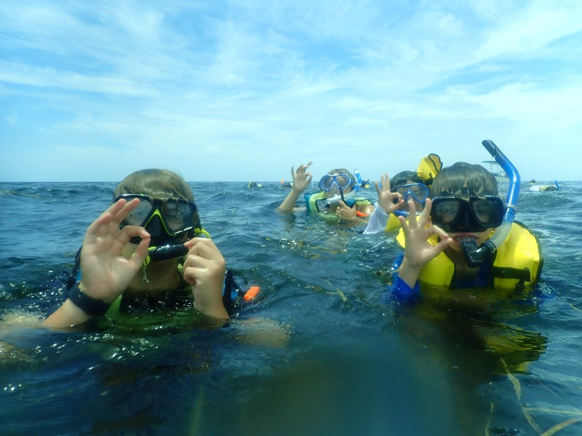 MSSCaptOlsen's tweet photo. Coastal Camp Citrus at the Marine Science Station is back! Day campers explored freshwater springs, brackish estuaries, &amp; marine ecosystems in the Gulf of Mexico today! Looking forward to more adventures this week! https://t.co/u1T8o7MP4b
