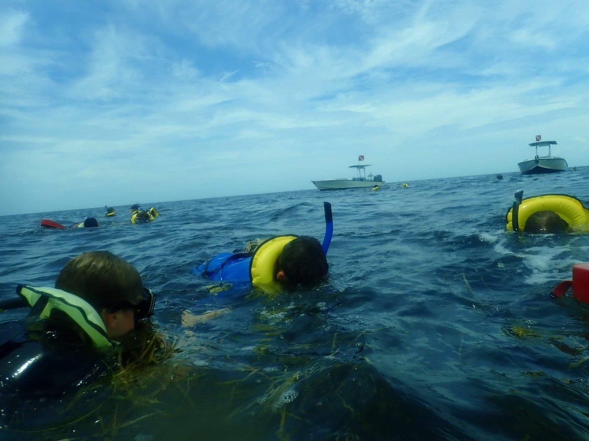 MSSCaptOlsen's tweet photo. Coastal Camp Citrus at the Marine Science Station is back! Day campers explored freshwater springs, brackish estuaries, &amp; marine ecosystems in the Gulf of Mexico today! Looking forward to more adventures this week! https://t.co/u1T8o7MP4b
