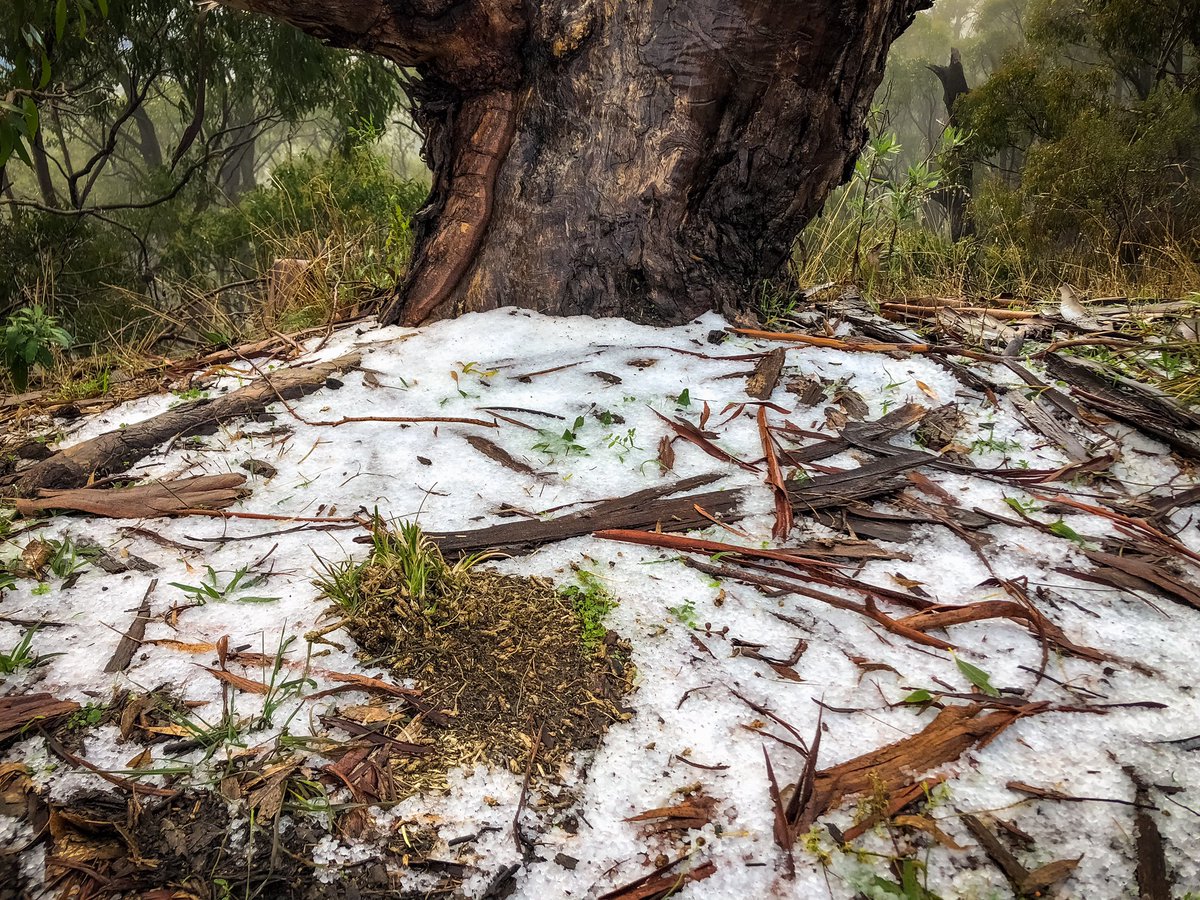 Matt_Bonser tweet media