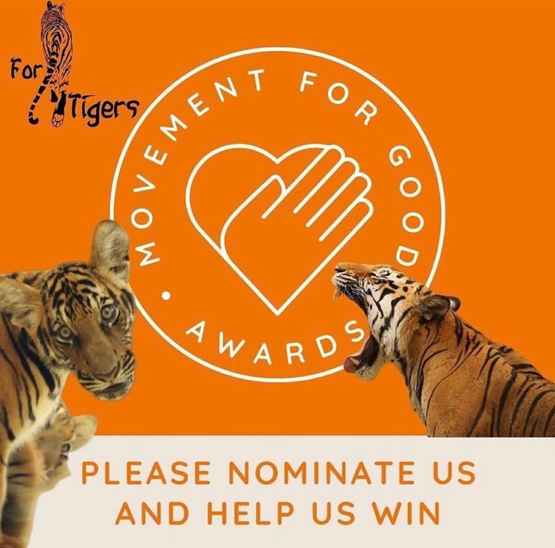 Help us help Thailand's captive tigers! Your nomination could help us win £1,000! Anyone can nominate, and every nomination increases our chances. Thank you!! 🐯♥️
movementforgood.com/index.php?cn=1…