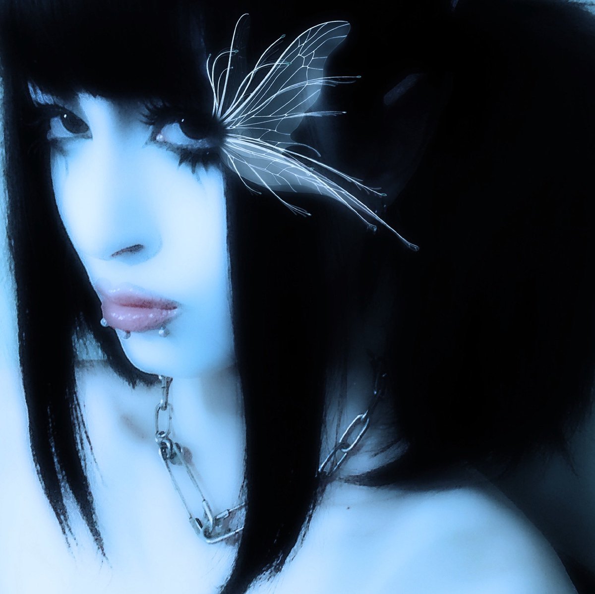 vampire_kei's tweet photo. 🦋🦋🦋🦋🦋🦋🦋🦋🦋🦋🦋🦋🦋 https://t.co/1jlo7RM6mD