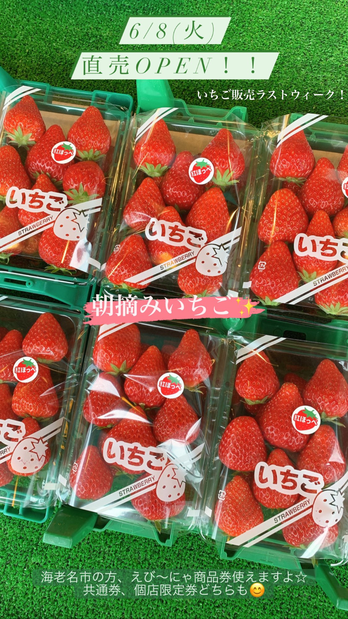 ストロベリーハウス Strawberryebina Twitter