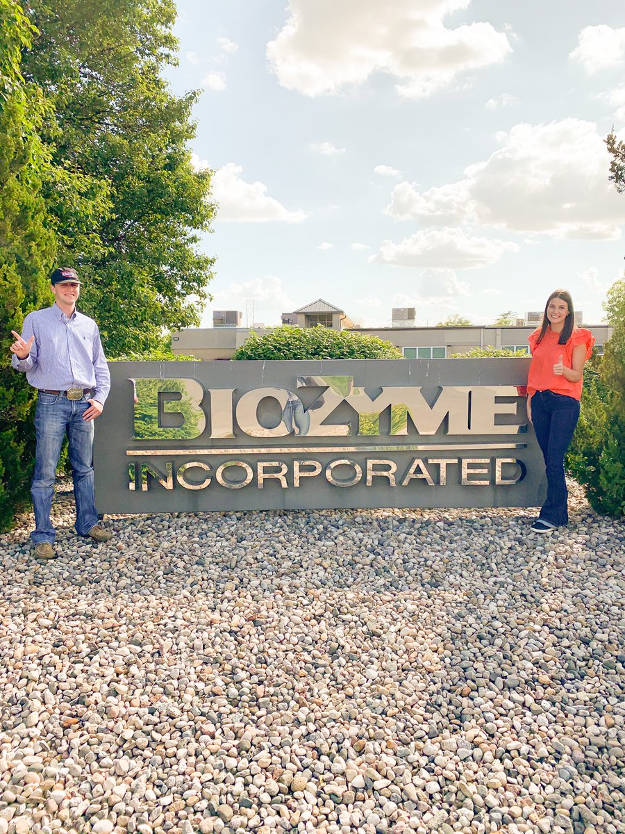 Here’s to not washing cows all summer.