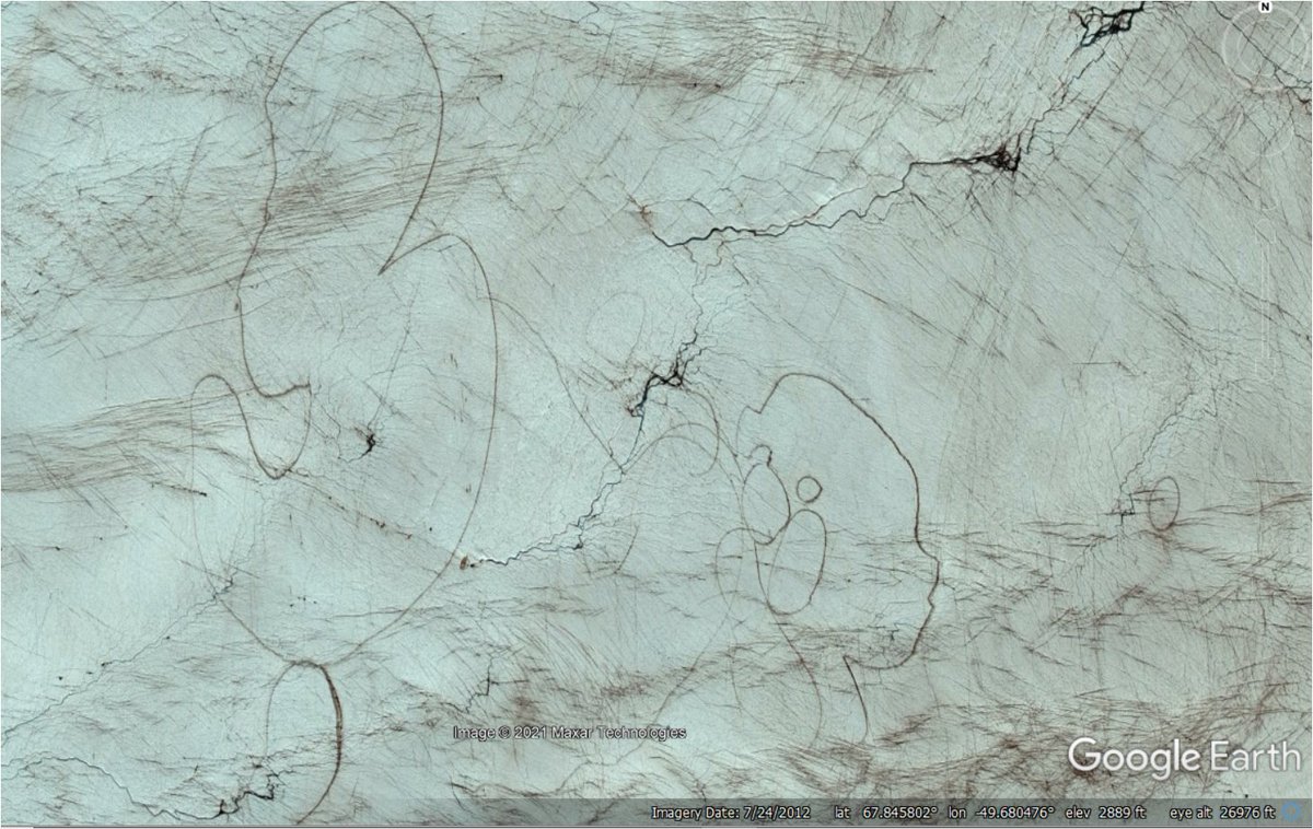 Hey glaciology twitter, what the hell is going on here? I think I just found glacial Nazca lines...